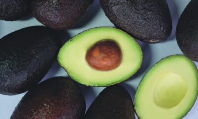 Mexico Avocado| https://fruitsauction.com/