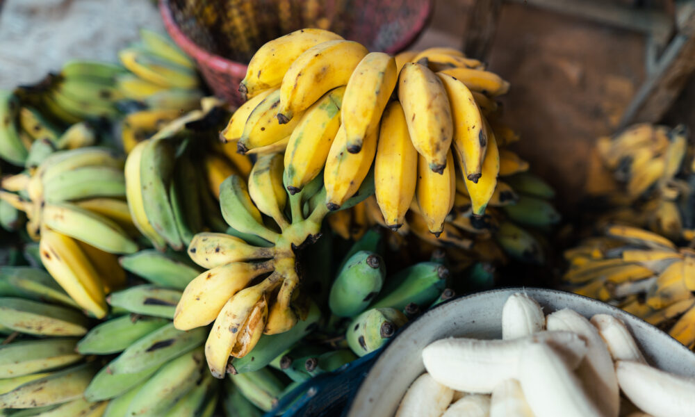 Banana in the hand of the seller for processing |https://fruitsauction.com/