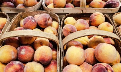 Georgia-peaches-in-baskets-https://fruitsauction.com/