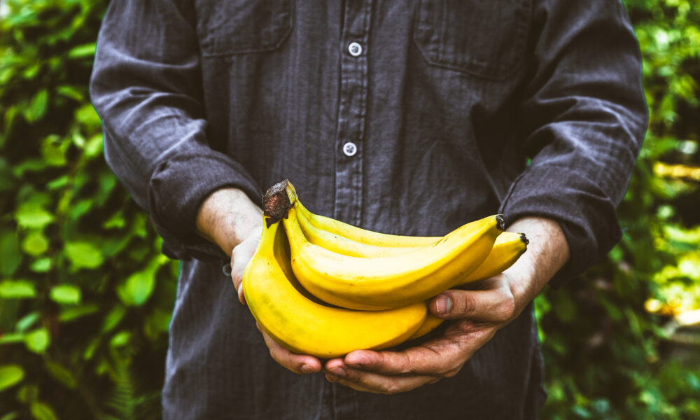 Ecuadorian banana Farmer | https://fruitsauction.com/