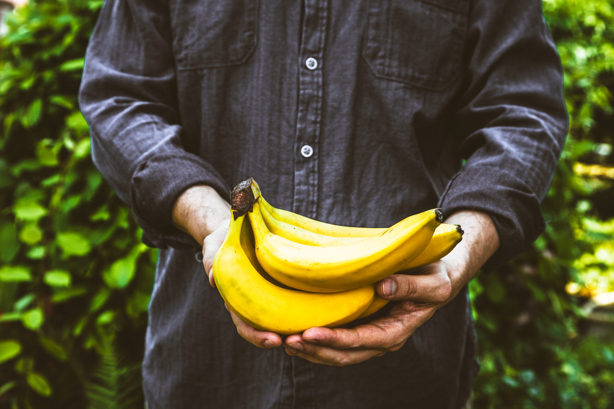 Ecuadorian banana Farmer | https://fruitsauction.com/