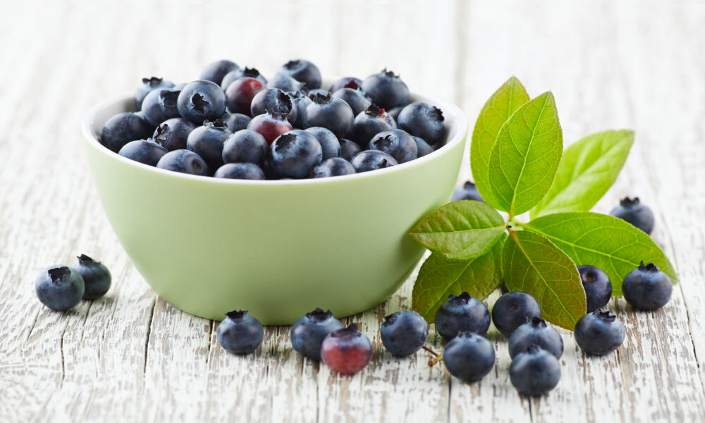 Blueberry Peruvian | https://fruitsauction.com/