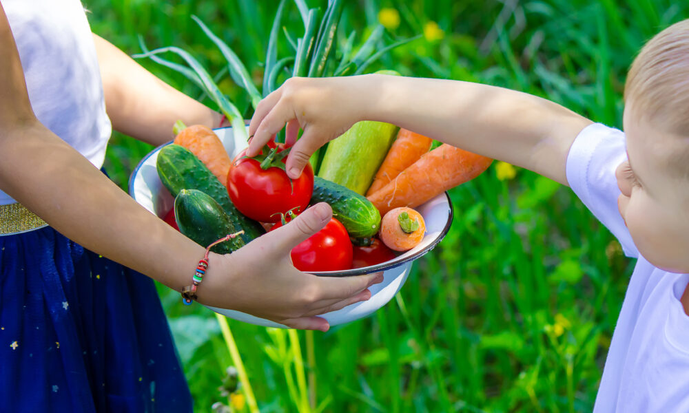 Fruits and Vegetables for Children | https://fruitsauction.com/