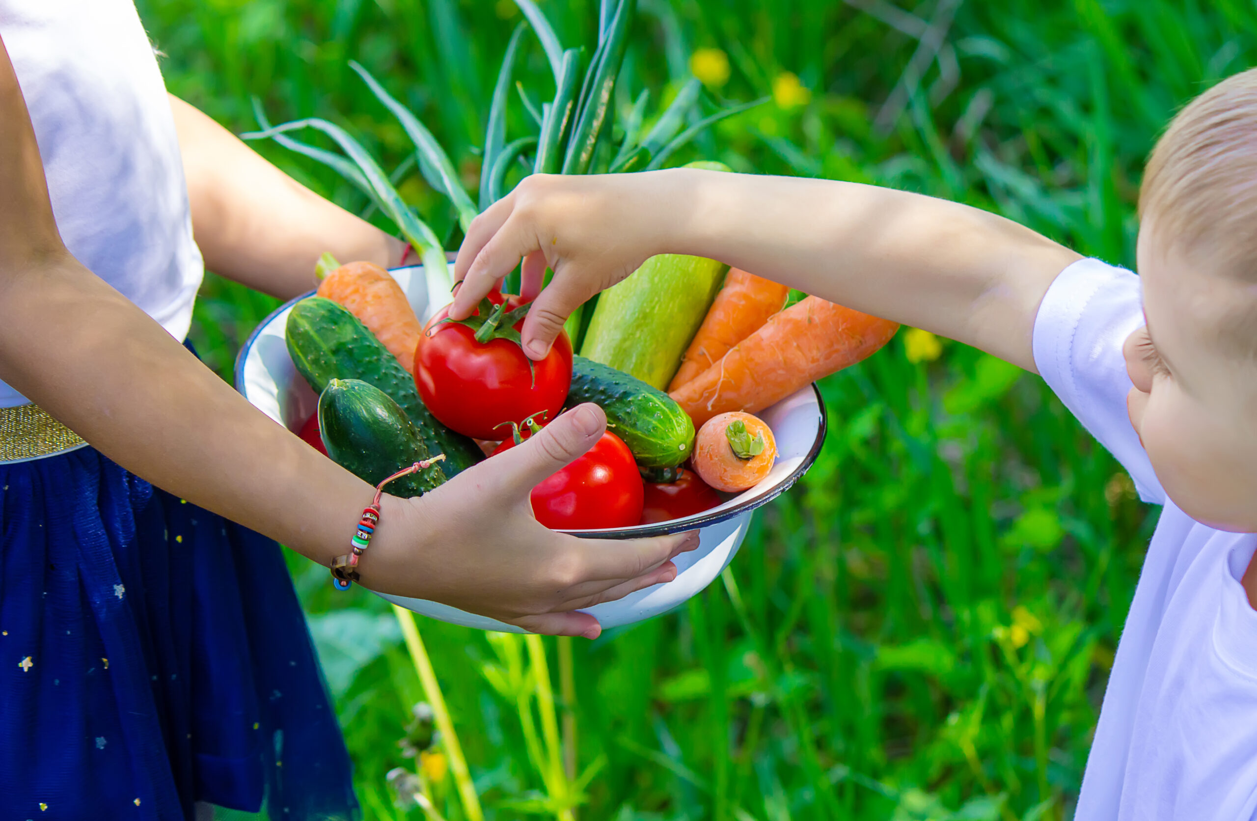 Fruits and Vegetables for Children | https://fruitsauction.com/