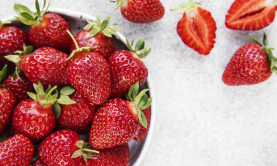 Strawberry Farm | https://fruitsauction.com/