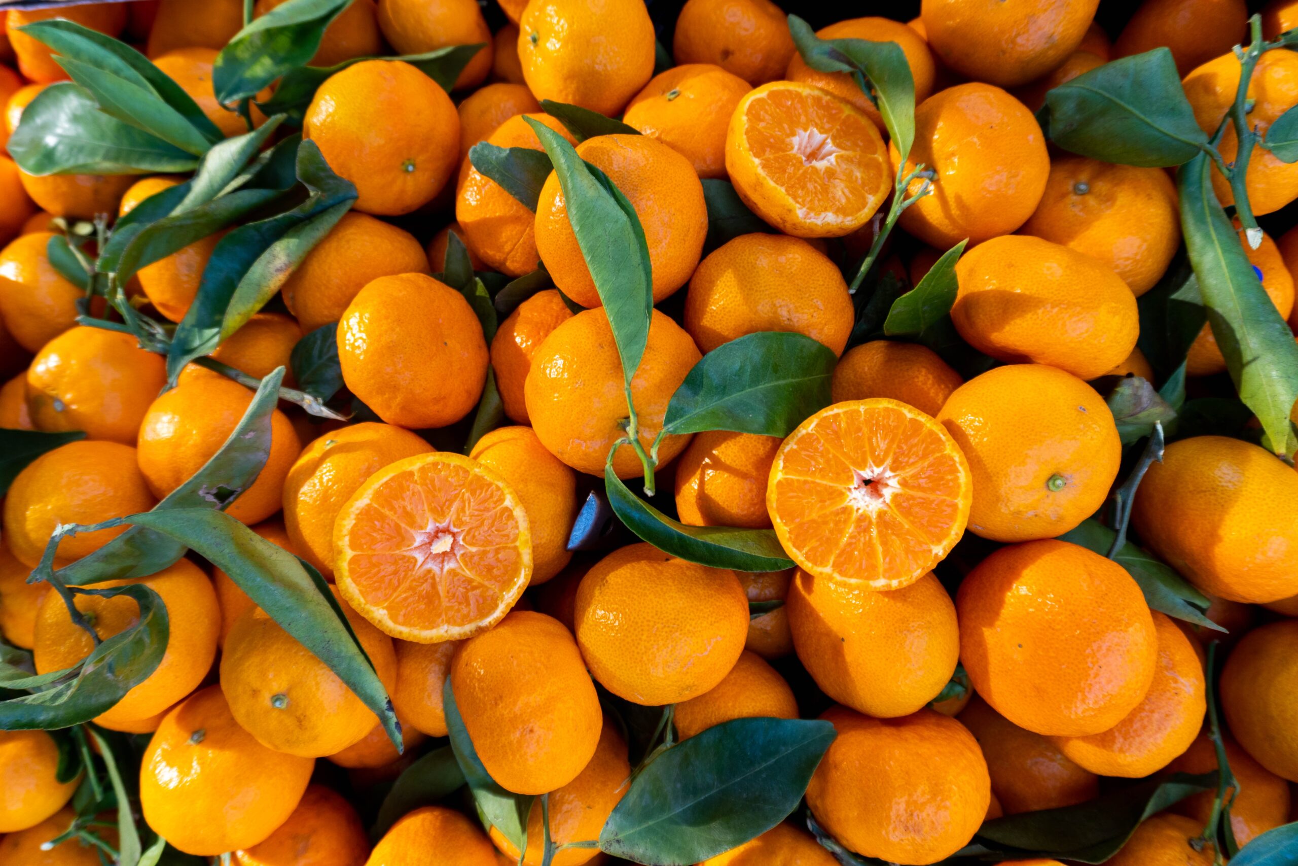 Morocco's Orange | https://fruitsauction.com/