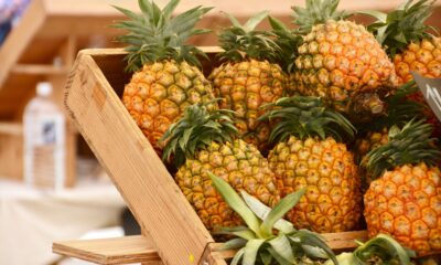 Pineapples | https://fruitsauction.com/