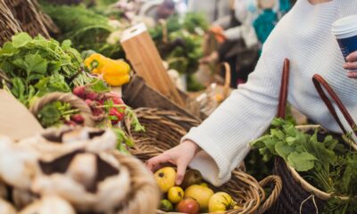 Organic Produce at farmer's market | https://fruitsauction.com/