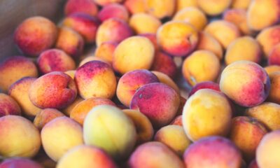 apricots | https://fruitsauction.com/