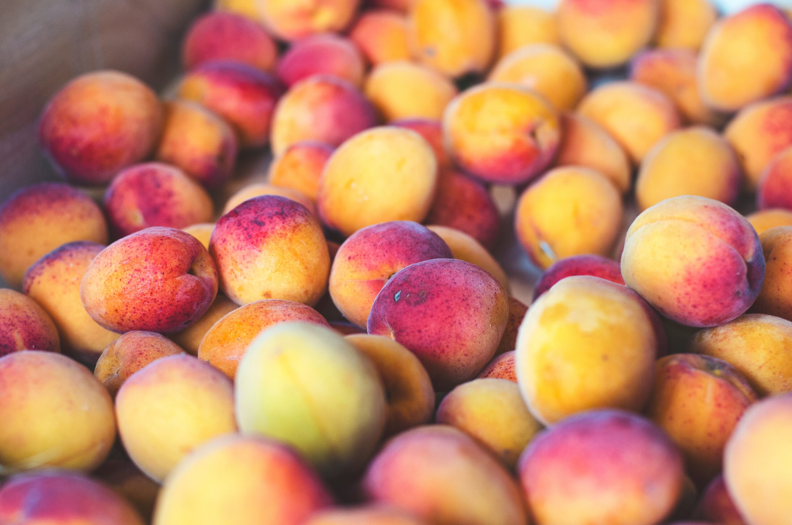 apricots | https://fruitsauction.com/