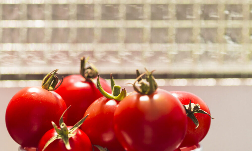 preserving tomatoes | https://fruitsauction.com/