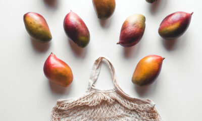 Mango Prices | https://fruitsauction.com/