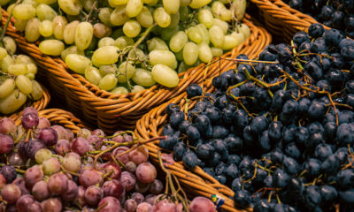 Piura's Grape Exports | https://fruitsauction.com/