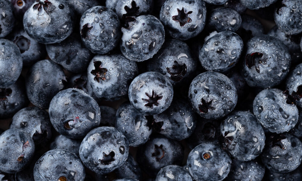 Frozen Blueberry | https://fruitsauction.com/