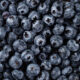 Frozen Blueberry | https://fruitsauction.com/
