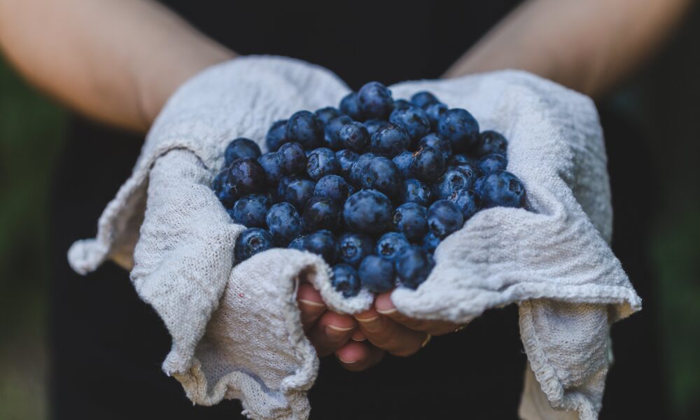 Blueberry Blues | https://fruitsauction.com/