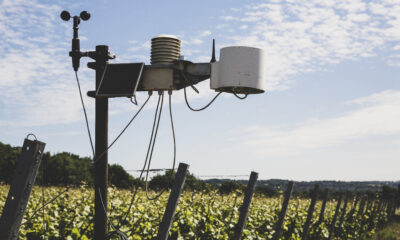 weather stations | https://fruitsauction.com/