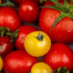 Datterino tomatoes| https://fruitsauction.com/