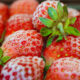 Frozen strawberries | https://fruitsauction.com/