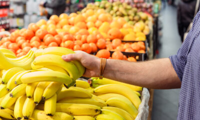 banana prices | https://fruitsauction.com/