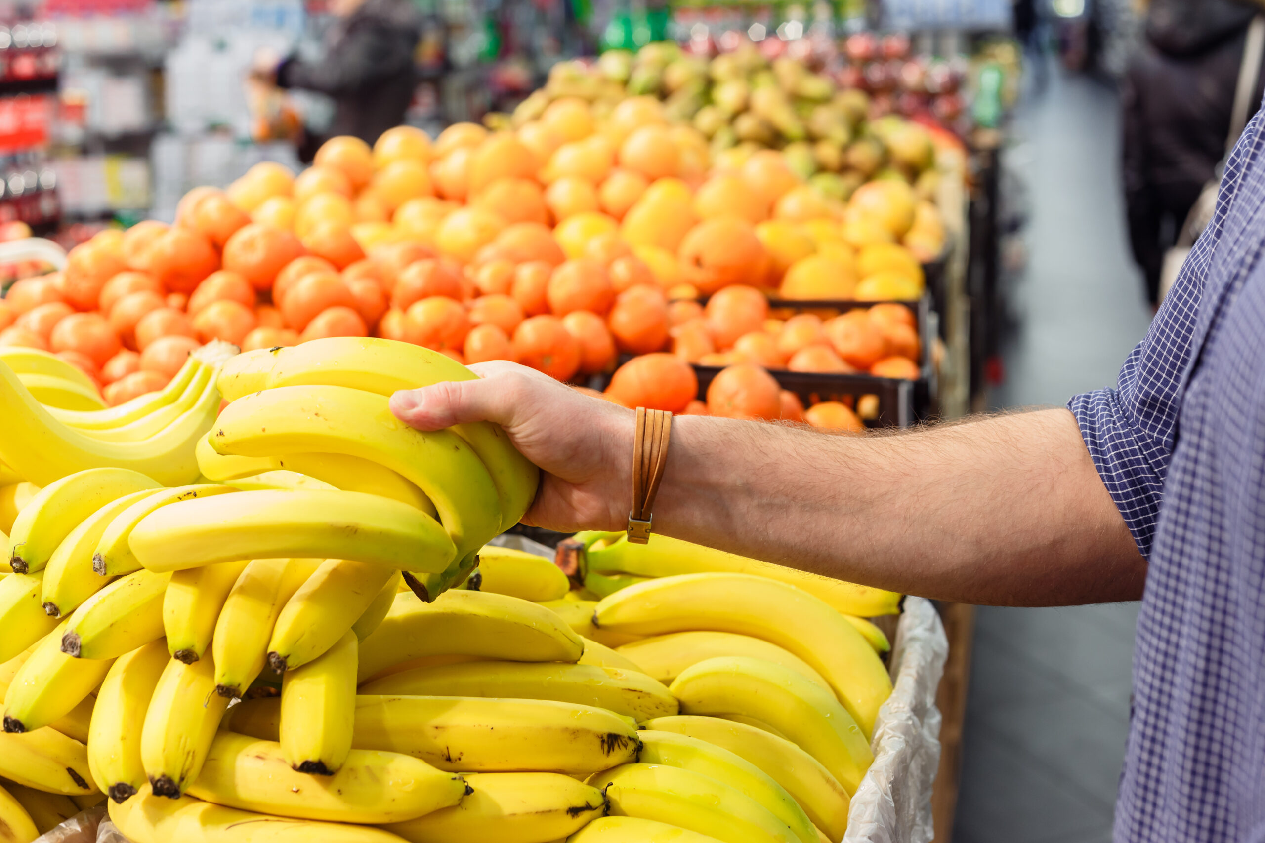 banana prices | https://fruitsauction.com/