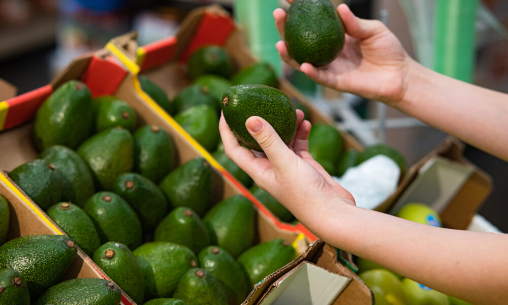 Colombian Hass avocado | https://fruitsauction.com/
