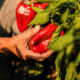 organic bell pepper | https://fruitsauction.com/
