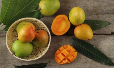 Spanish mango | https://fruitsauction.com/