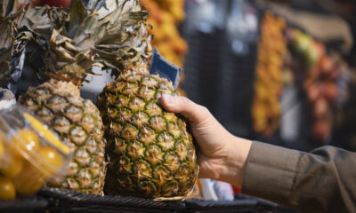 Sri Lankan pineapples | https://fruitsauction.com/