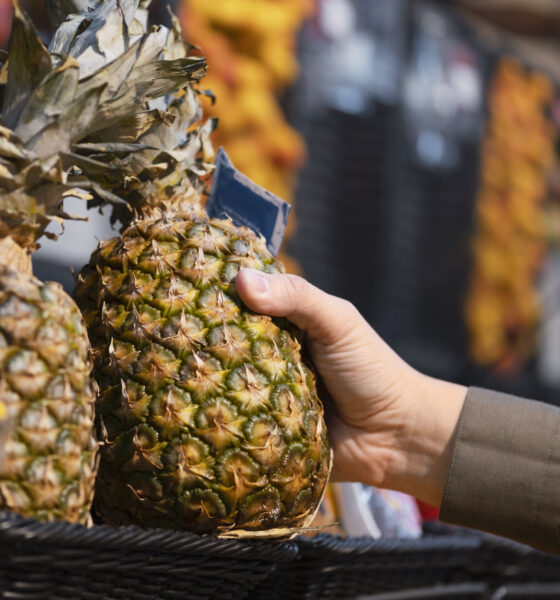Sri Lankan pineapples | https://fruitsauction.com/