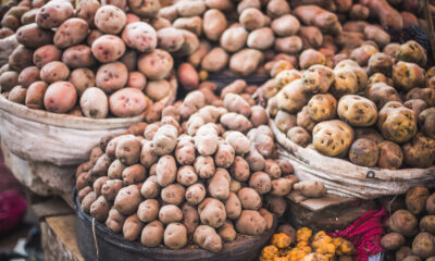 French potatoes | https://fruitsauction.com/