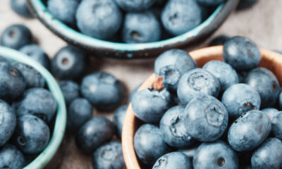 Ukraine's blueberries| https://fruitsauction.com/