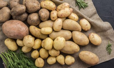 European Potato | https://fruitsauction.com/